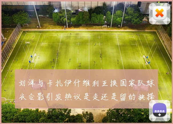 刘洋与卡扎伊什维利互换国家队球衣合影引发热议是走还是留的抉择时刻