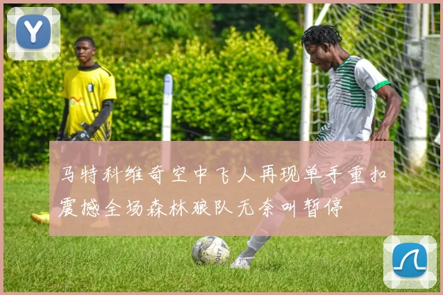 马特科维奇空中飞人再现单手重扣震撼全场森林狼队无奈叫暂停