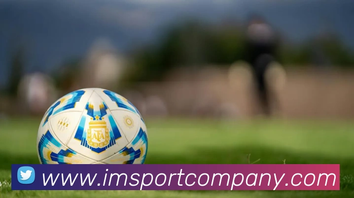 IM足球体育发展历程